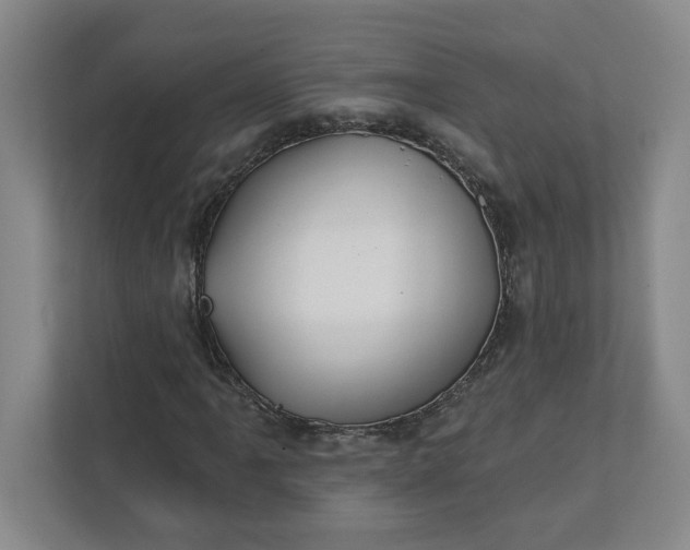 X0000112391061200908271335