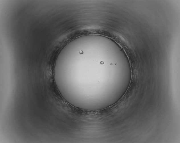 X0000112391062200908271335