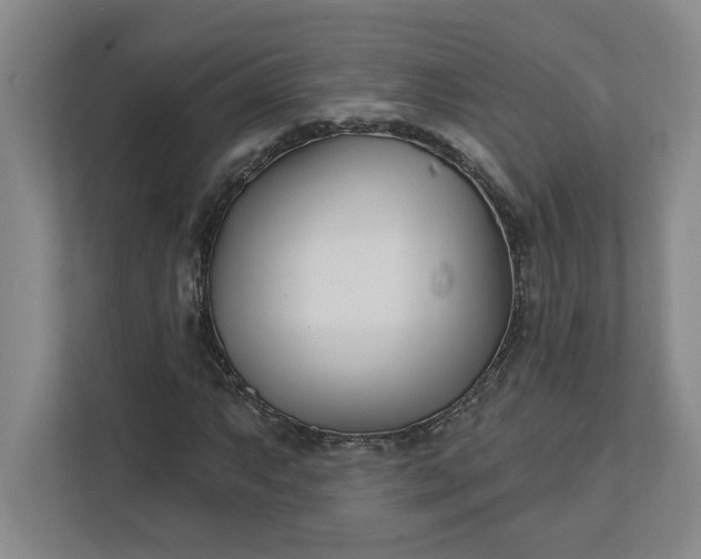 X0000112391063200908271335