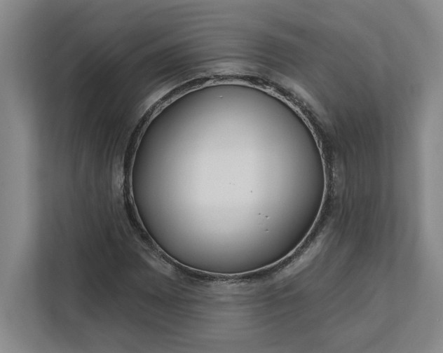 X0000112391065200908271335