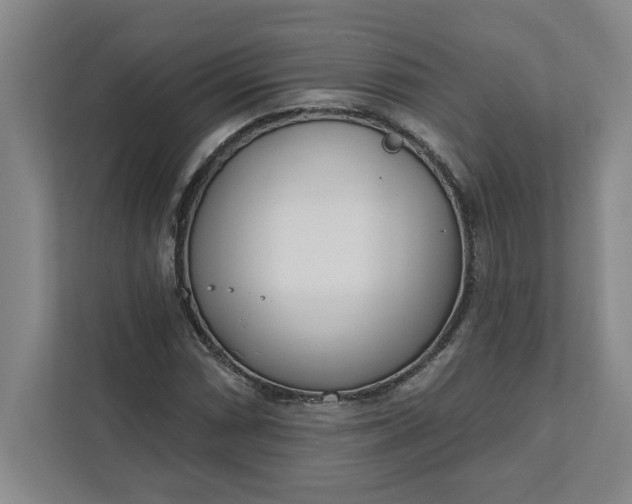 X0000112391066200908271335