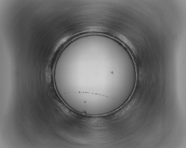 X0000112391067200908271335