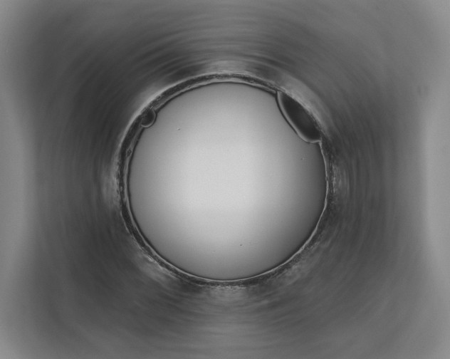 X0000112391068200908271335