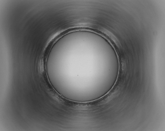 X0000112391069200908271335