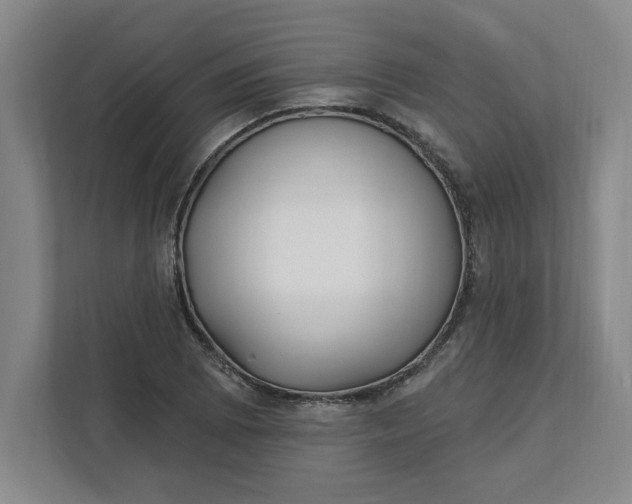 X0000112391073200908271335