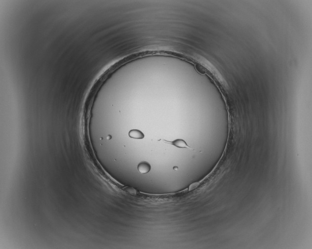 X0000112391076200908271335