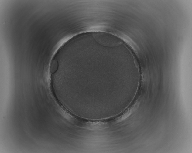 X0000112391077200908271335