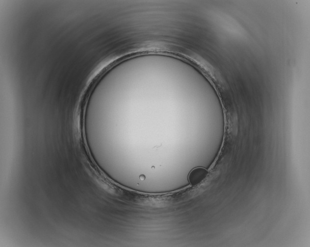 X0000112391078200908271335