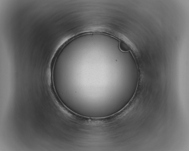 X0000112391079200908271335