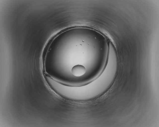 X0000112391080200908271335