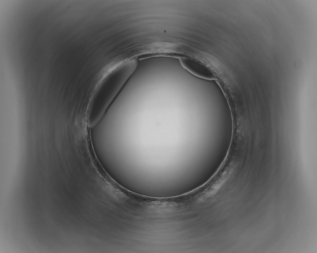 X0000112391081200908271335