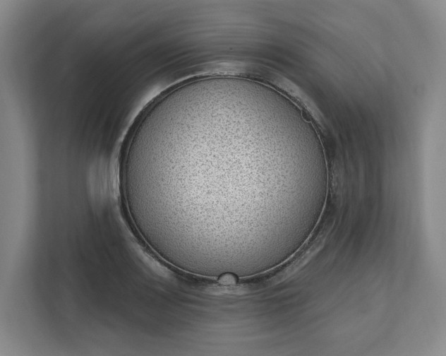 X0000112391083200908271335