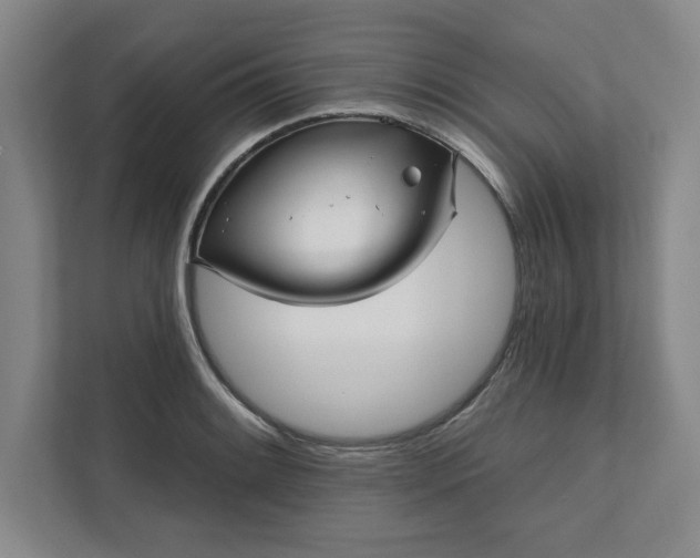 X0000112391084200908271335