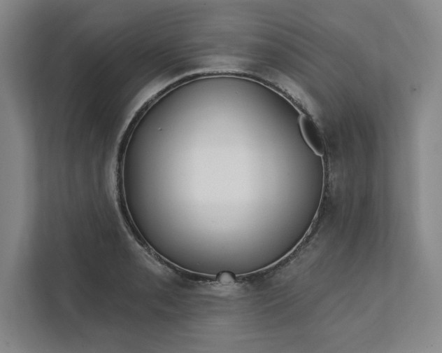 X0000112391085200908271335