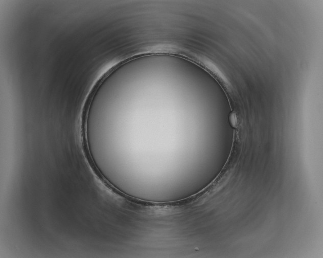 X0000112391087200908271335