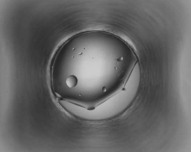 X0000112391088200908271335