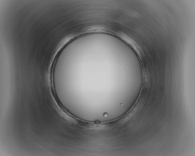 X0000112391090200908271335