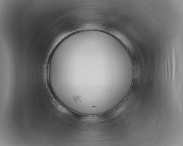 X0000112391094200908271335