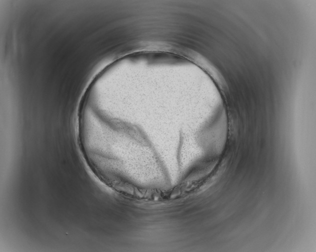 X0000112391095200908271335