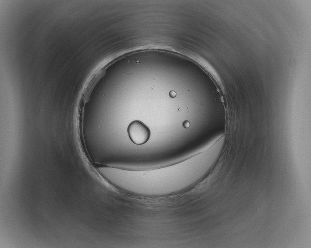 X0000112391096200908271335