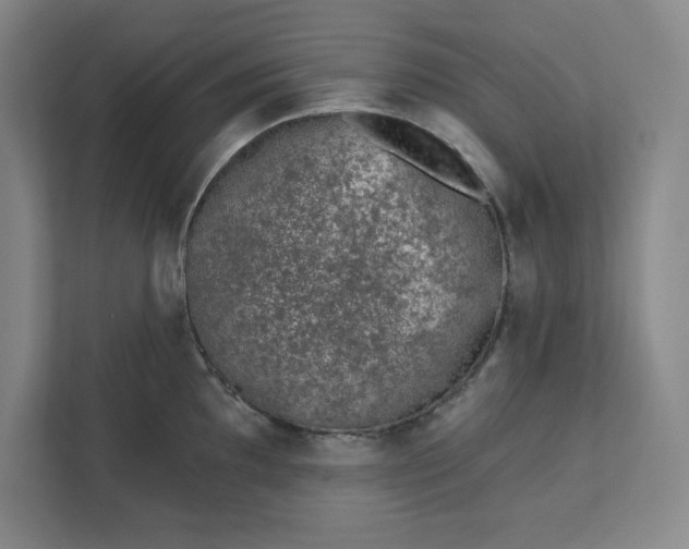 X0000112391097200908271335