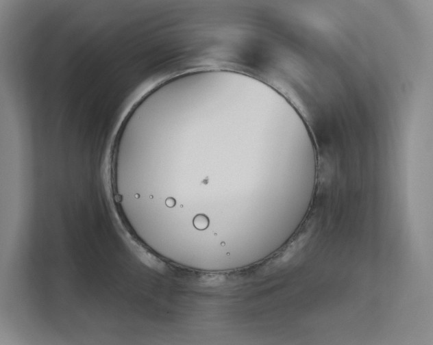 X0000112391098200908271335