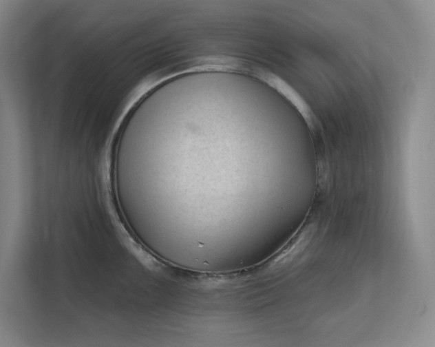 X0000112391099200908271335