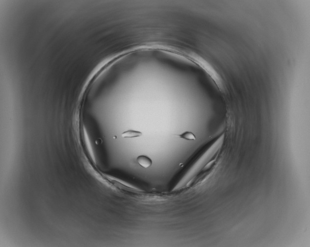 X0000112391100200908271335