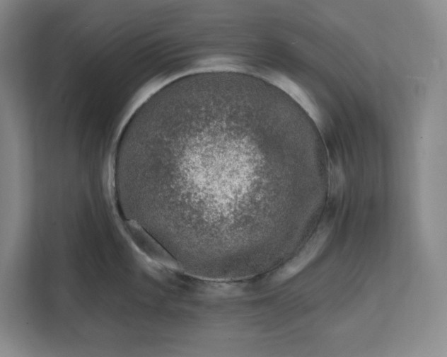 X0000112391101200908271335