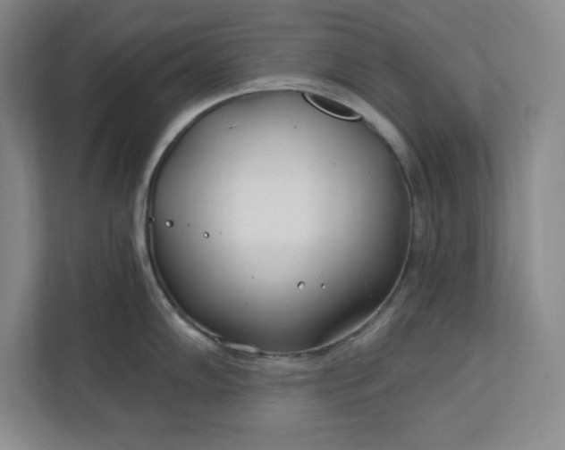 X0000112391102200908271335