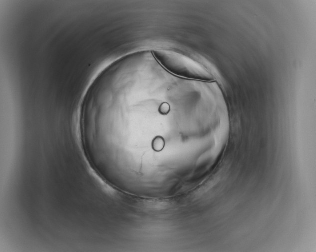 X0000112391103200908271335