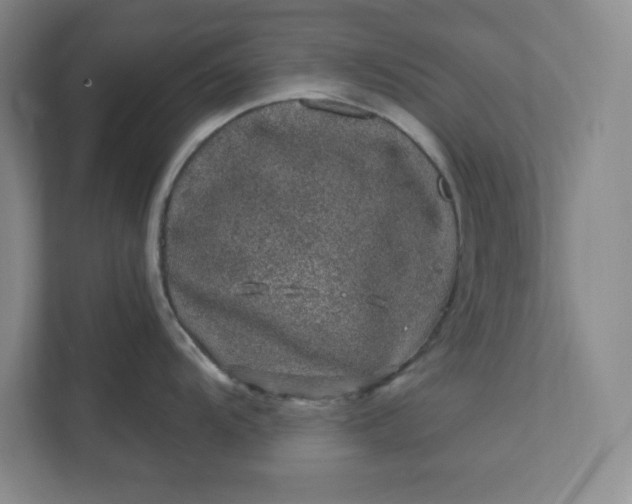 X0000112391104200908271335