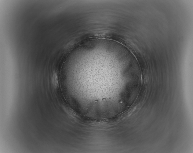 X0000112391106200908271334