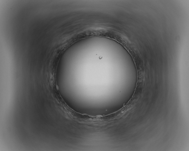 X0000112391109200908271334