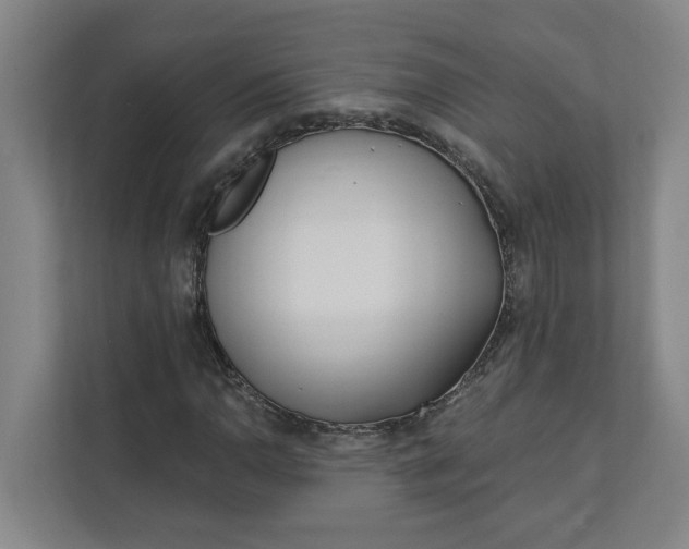 X0000112391110200908271334