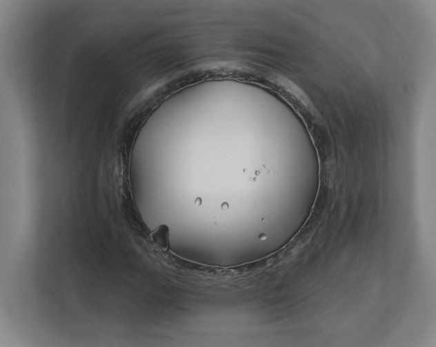 X0000112391111200908271334