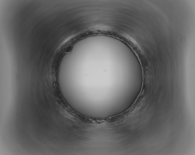 X0000112391112200908271334