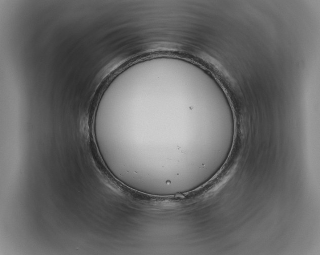 X0000112391113200908271334