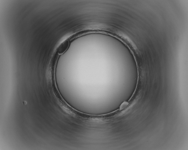 X0000112391114200908271334