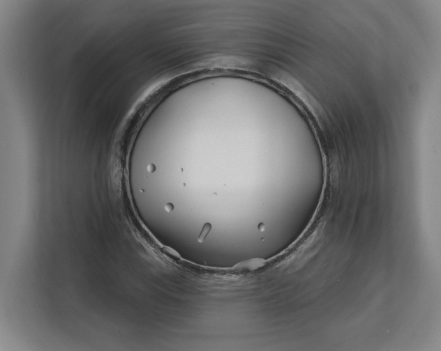 X0000112391115200908271334