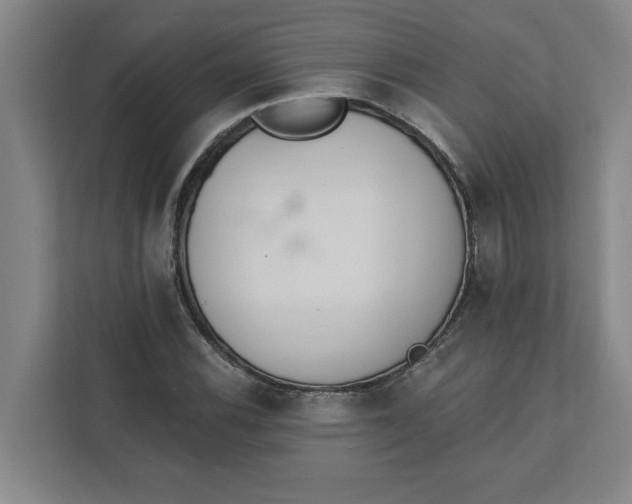 X0000112391116200908271334