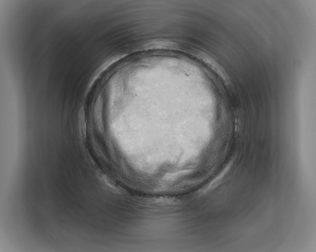 X0000112391117200908271334