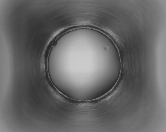 X0000112391118200908271334