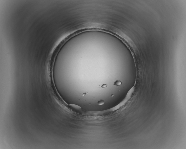 X0000112391120200908271334