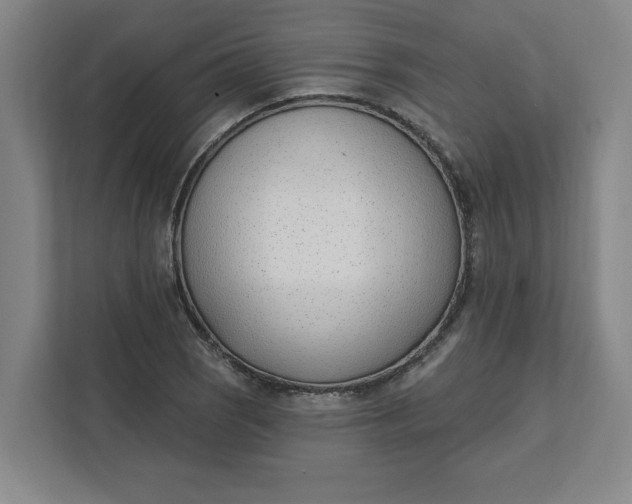 X0000112391121200908271334