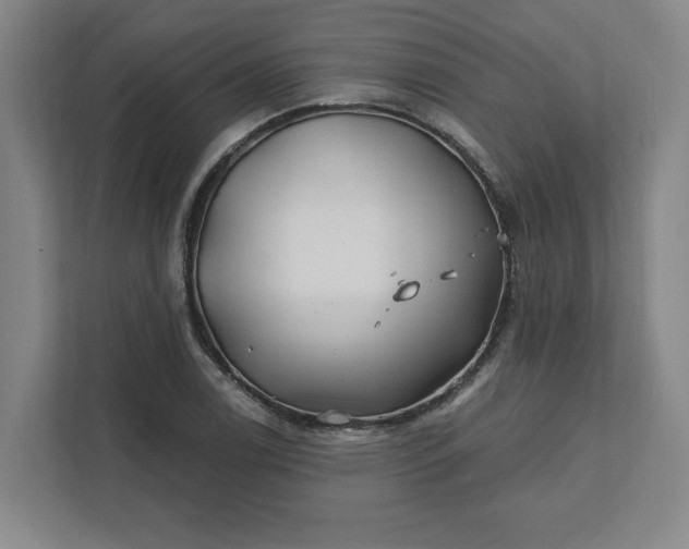 X0000112391122200908271334