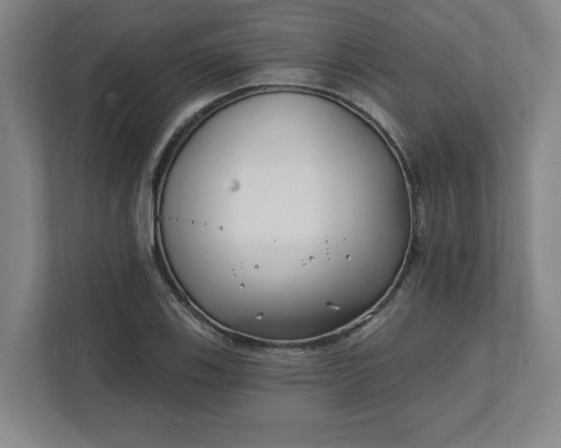 X0000112391123200908271334