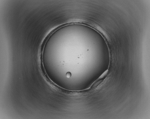 X0000112391124200908271334