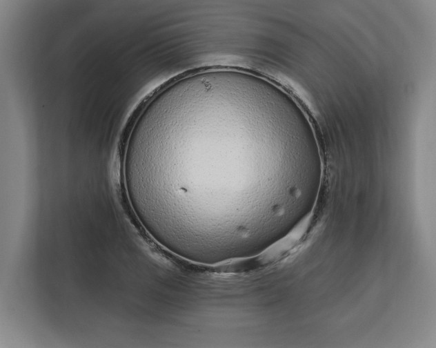 X0000112391125200908271334