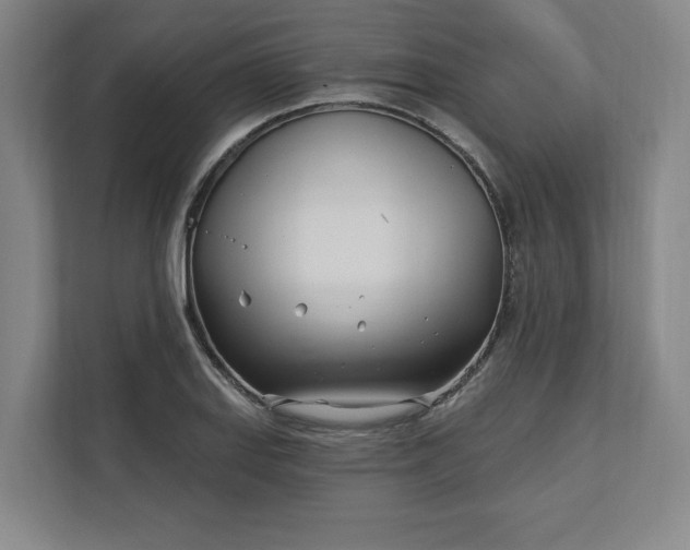 X0000112391127200908271334